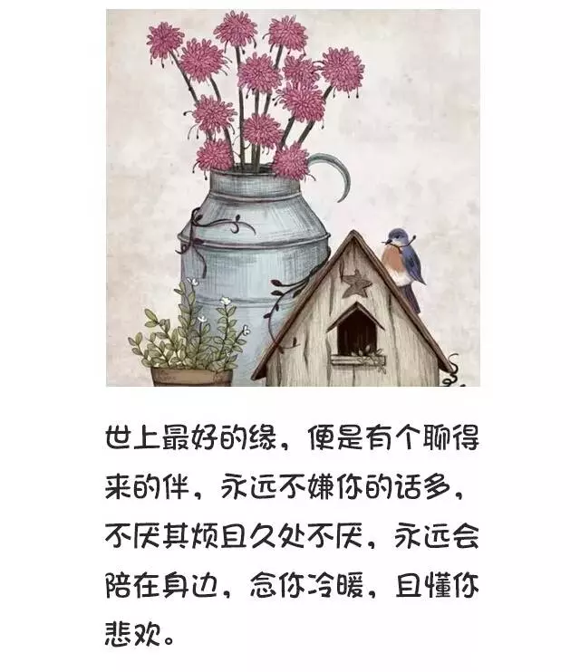 不聯繫,不打擾,是我對你最後的愛