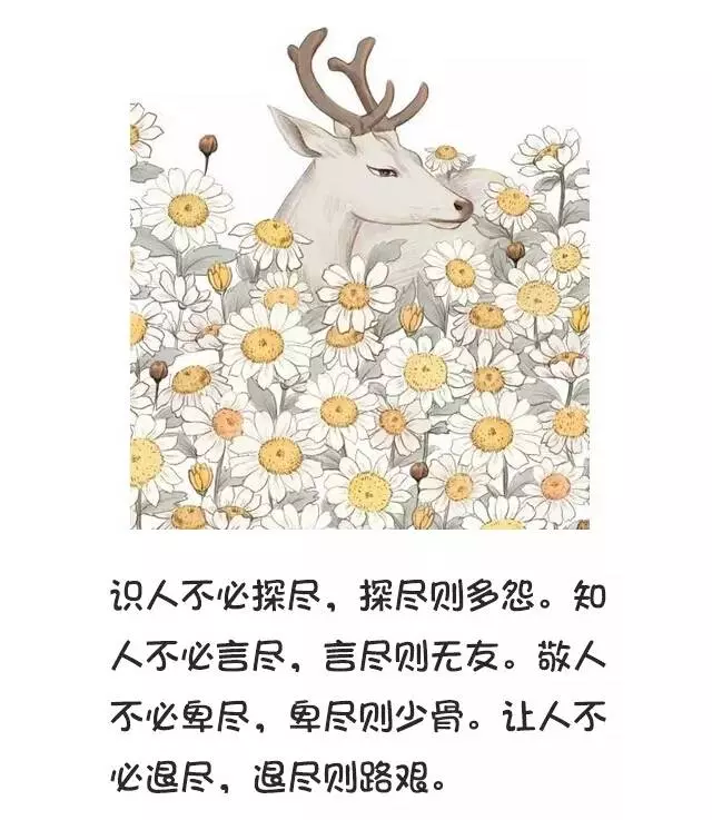不聯繫,不打擾,是我對你最後的愛