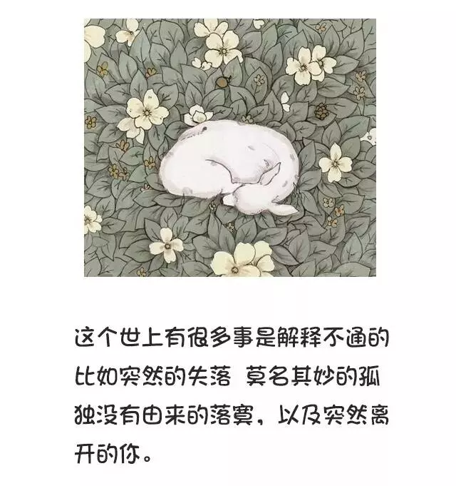 不聯繫,不打擾,是我對你最後的愛