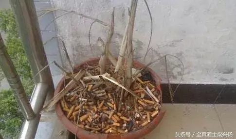 你運氣不好,霉運纏身嗎?可能家裡犯了這些風水禁忌,最好注意一下哦!!