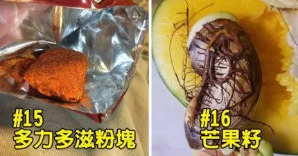 「得罪了食物之神」因此被詛咒的16個不屬於地球食物。#13.那個薯條真的太噁了...