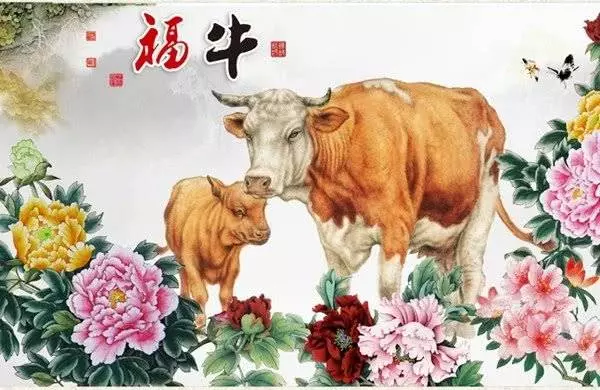 2月份新春,最有貴人運的四個屬相,窮人也能變富翁!