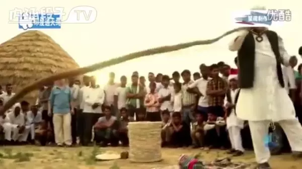 古印度「神仙索」驚人奇術!連專業魔術師都「找不到破綻」,至今無人能解!