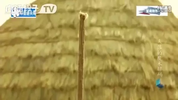 古印度「神仙索」驚人奇術!連專業魔術師都「找不到破綻」,至今無人能解!