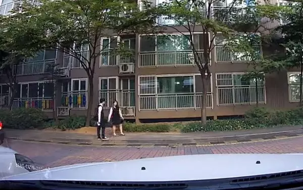 南韓學生放學路上,小情侶「人行道上超嗨尬舞」被行車記錄器錄下來:長大後看到肯定要丟臉了XDD