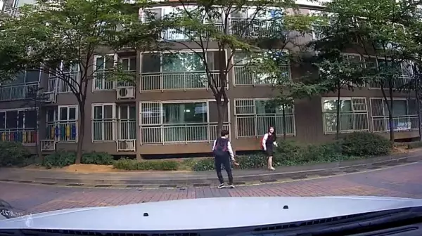 南韓學生放學路上,小情侶「人行道上超嗨尬舞」被行車記錄器錄下來:長大後看到肯定要丟臉了XDD