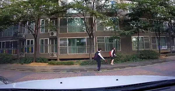 南韓學生放學路上,小情侶「人行道上超嗨尬舞」被行車記錄器錄下來:長大後看到肯定要丟臉了XDD