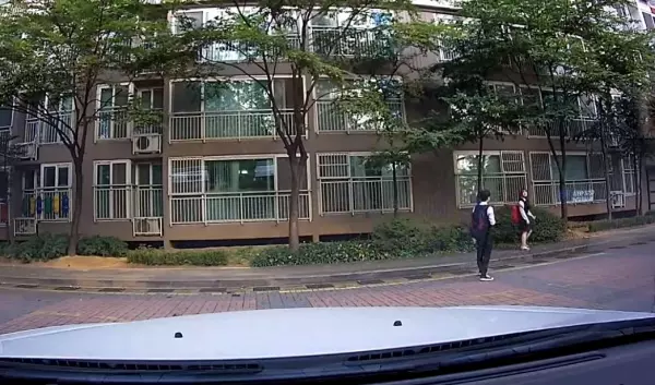 南韓學生放學路上,小情侶「人行道上超嗨尬舞」被行車記錄器錄下來:長大後看到肯定要丟臉了XDD