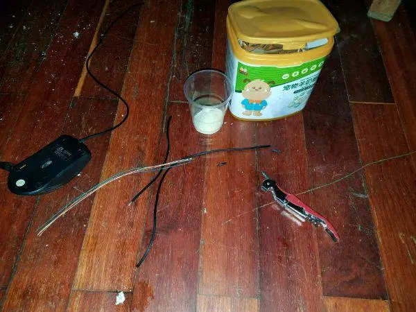 男子在下水道裡救出一窩奶貓,帶回家餵養一周後,貓咪竟然。。。