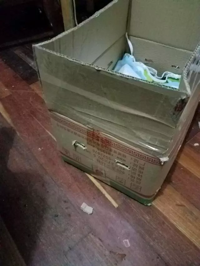 男子在下水道裡救出一窩奶貓,帶回家餵養一周後,貓咪竟然。。。