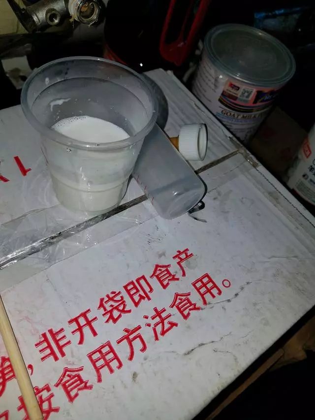 男子在下水道裡救出一窩奶貓,帶回家餵養一周後,貓咪竟然。。。