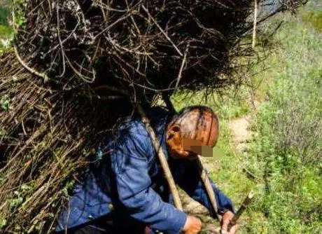 光棍上山砍柴,撿回一窩蛇蛋,孵化後放回深山,第二天回到家傻了