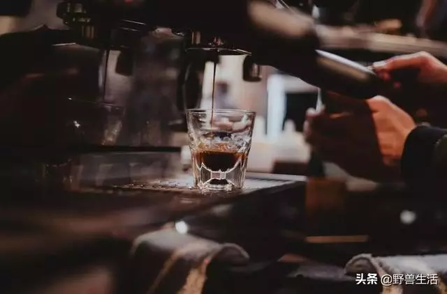 哈佛研究:一天一杯咖啡太少了,咖啡不但不會毀身體,還有益健康