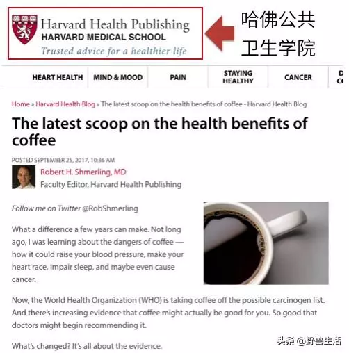 哈佛研究:一天一杯咖啡太少了,咖啡不但不會毀身體,還有益健康