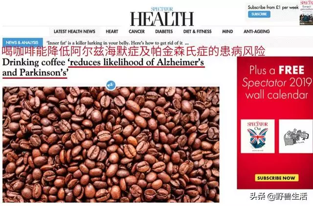 哈佛研究:一天一杯咖啡太少了,咖啡不但不會毀身體,還有益健康