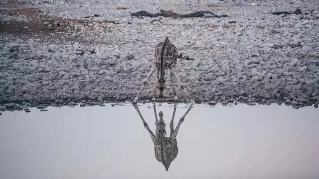 世界上最美的星空與沙漠,去一次能吹一輩子!