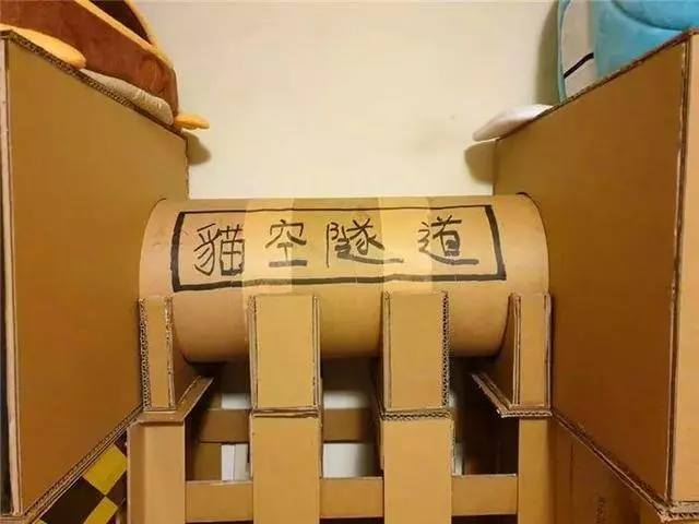 主人用紙箱造豪華貓城堡,完工後橘貓來視察,對新家表示滿意!