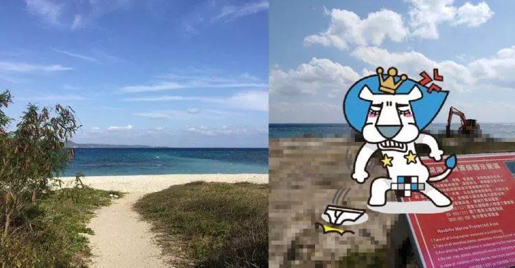 史上最狂哈士奇!山東月月被丟入狼群沒事「還當上狼王」!還娶了母狼生下混血小狼狗