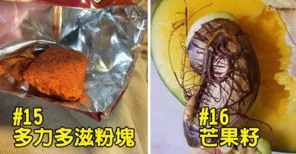 16個「得罪了食物之神」因此被詛咒的不屬於地球食物。#13.那個薯條真的太噁了...