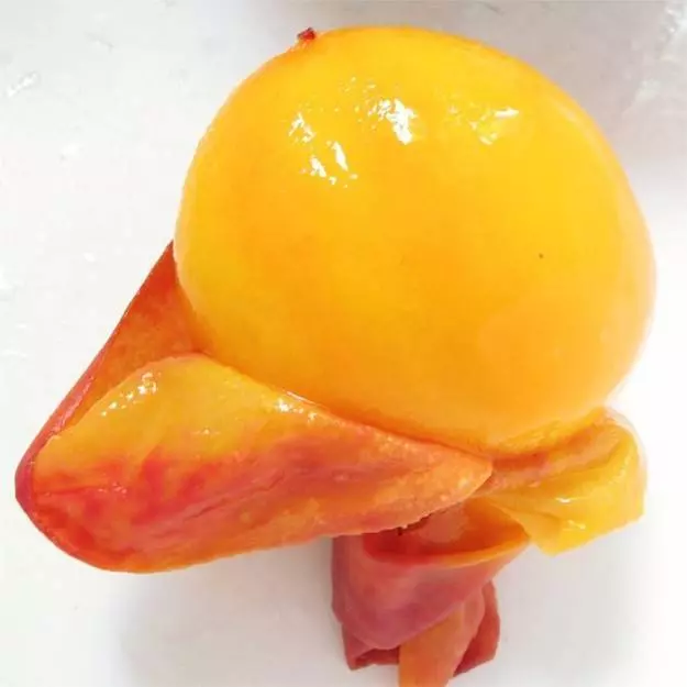 16個「得罪了食物之神」因此被詛咒的不屬於地球食物。#13.那個薯條真的太噁了...