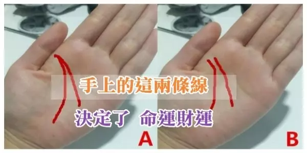 準!手上的這兩條線,決定了你一生的命運財運!
