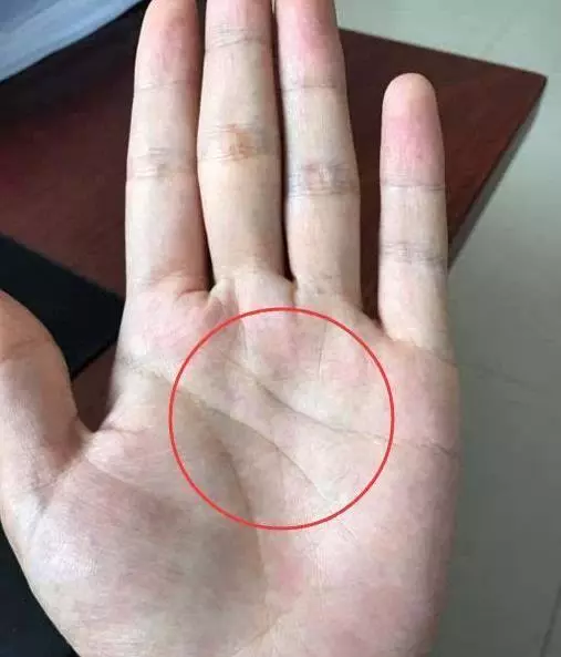 準!手上的這兩條線,決定了你一生的命運財運!