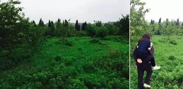 她3歲背熟《金剛經》,看懂甲骨文,9歲時已踏遍半個地球,只因她的父親叫李亞鵬!