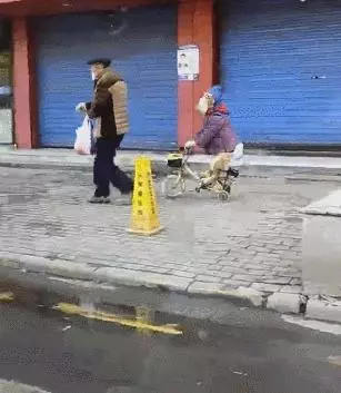 阿公帶6隻小奶狗公園遛彎,路人以為是在賣狗,上去詢問阿公說出原因讓人笑噴!