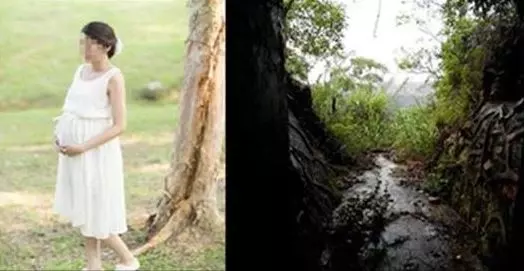 姑娘口渴難忍喝了半碗雨水卻懷了身孕!父母嫌棄趕她出家門,卻不想在山洞中生出了……