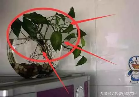 存不到錢的婦女們,家裡冰箱上面是不是放了這東西,是漏財的象徵!