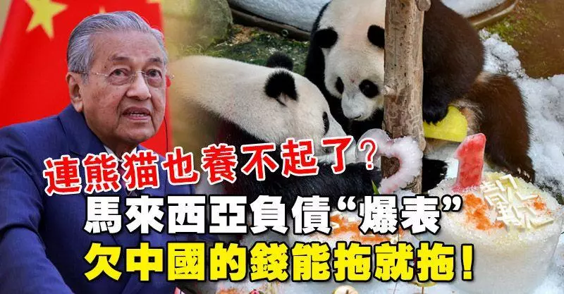 連熊貓也養不起了?馬來西亞負債「爆表」,欠中國的錢能拖就拖!