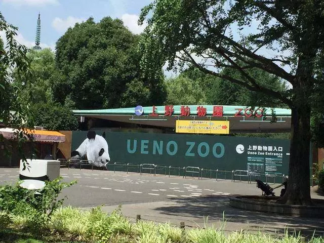 連熊貓也養不起了?馬來西亞負債「爆表」,欠中國的錢能拖就拖!