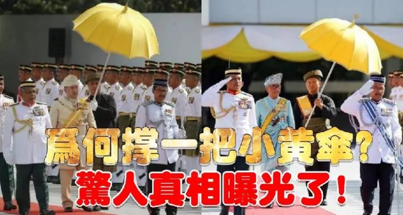 馬來西亞最高元首的任職儀式上 ◤都會撐一把小黃傘◢ 驚人真相曝光了