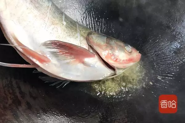 春節晚宴少不了這幾道硬菜,噴香夠味,做法簡單,學會就能做一桌