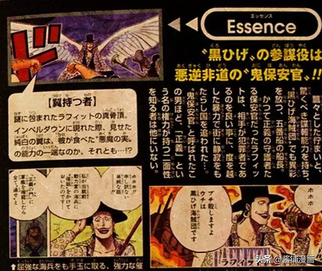 海賊王官方情報:尾田公布拉菲特的懸賞金,是四皇黑鬍子的航海士