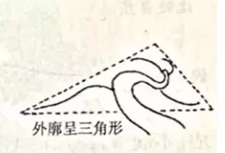 盆景初入門:迴旋式盆景的造型技巧圖解