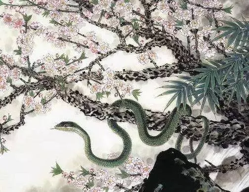 家有屬蛇的人嘛,有你就多留意【豬年正月有好運】