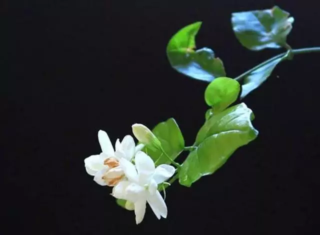 再忙,再苦,再累,都不要冷落了,那個牽掛你的人(對你好的人要珍惜)