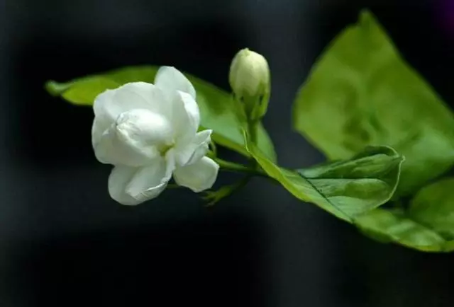 再忙,再苦,再累,都不要冷落了,那個牽掛你的人(對你好的人要珍惜)