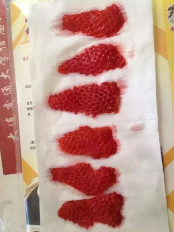 草莓刮點皮,扔土裡芽直冒,果子雞蛋大,吃不完!