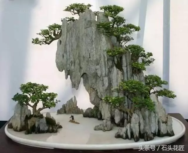 這些盆栽個個都是精品,可謂是價值連城,有的比一套房都貴