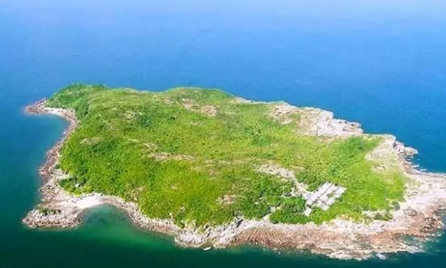 英國一海島吸引七億海鳥,45年堆積15米高的鳥屎,臭到你想不到