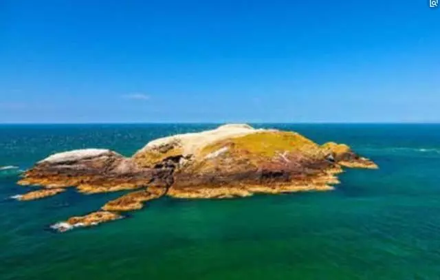 英國一海島吸引七億海鳥,45年堆積15米高的鳥屎,臭到你想不到