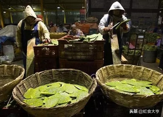 這個國家吃仙人掌都吃「入魔」了,吃法更是讓所有人大開眼界