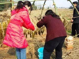 婆婆生日那天,兒子在大姑姐屋裡翻出一件玩具,大姑姐尷尬的尋死