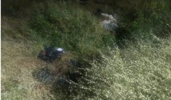 分屍魔劈腿4女,苦情女遭「切7塊餵狗」女人張大眼,〝恐怖情人〞都有這3大特質!