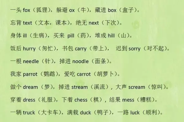 博士媽媽超厲害!簡單將英語單字「這樣做」,健忘兒子1天記住800個