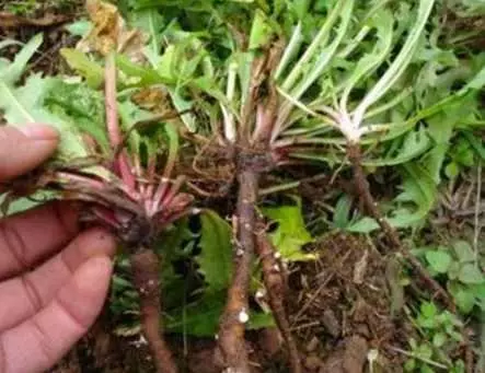 要預防肝臟受損,這「3種食物」千萬不能吃,吃一次,對肝臟的傷害就多一次