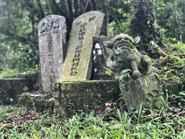 砸百萬新幣「與鬼為鄰」! 退休商買墳墓旁房屋:風水比較好