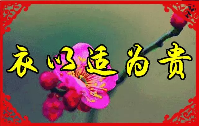 臘月二十九,早上好,誰打開誰吉祥~